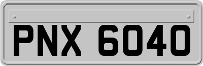 PNX6040