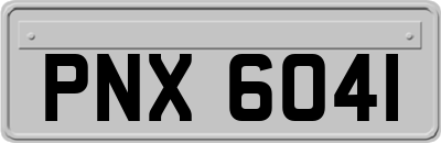 PNX6041