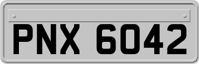 PNX6042
