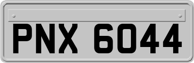 PNX6044