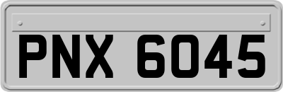 PNX6045