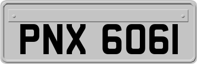 PNX6061