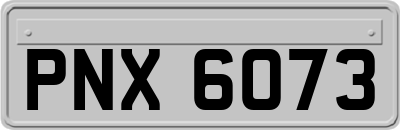 PNX6073