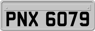 PNX6079
