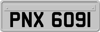 PNX6091