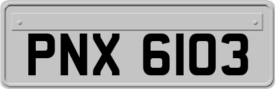PNX6103