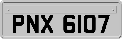 PNX6107