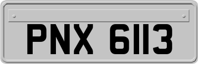 PNX6113