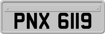 PNX6119