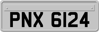 PNX6124
