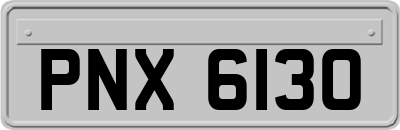 PNX6130