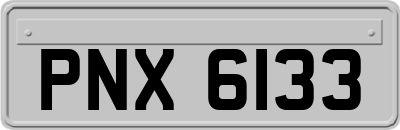 PNX6133