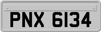 PNX6134