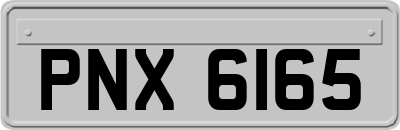 PNX6165
