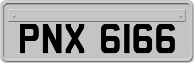 PNX6166