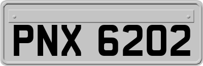 PNX6202