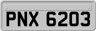 PNX6203