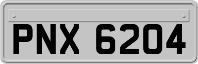 PNX6204