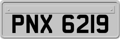 PNX6219