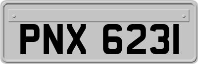 PNX6231