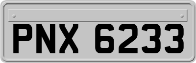 PNX6233
