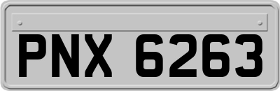 PNX6263