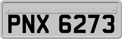 PNX6273