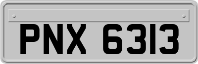 PNX6313