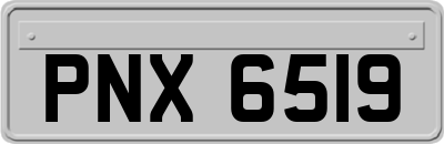 PNX6519