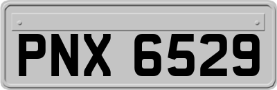 PNX6529