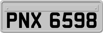 PNX6598