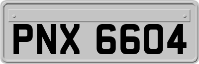 PNX6604