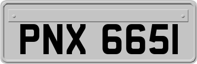 PNX6651