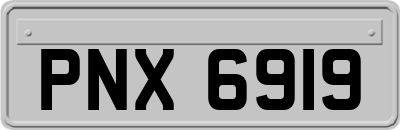 PNX6919
