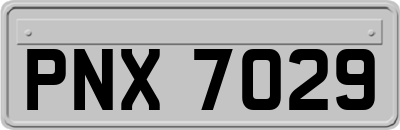 PNX7029