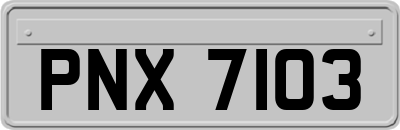 PNX7103