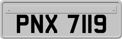 PNX7119