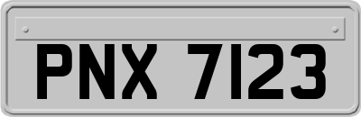 PNX7123