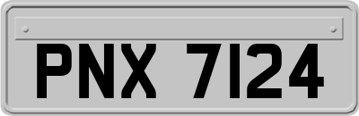 PNX7124