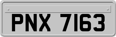 PNX7163