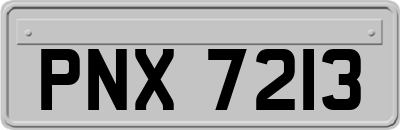 PNX7213