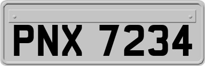 PNX7234