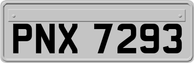 PNX7293