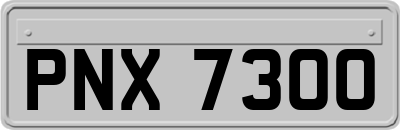 PNX7300
