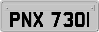 PNX7301