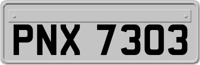 PNX7303