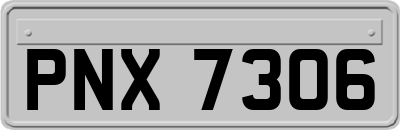 PNX7306