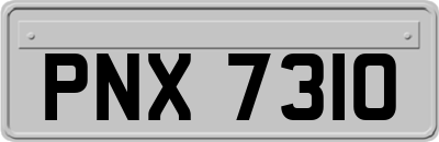 PNX7310