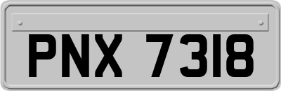 PNX7318