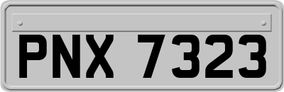 PNX7323